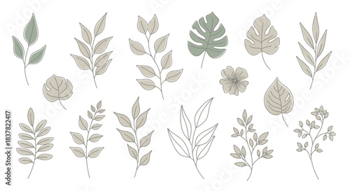 Botanical Elements and Delicate Floral Motifs A Collection of Hand-Drawn Leaves and Flowers