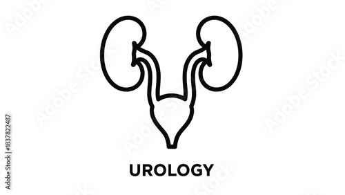 Urology Line Icon. Human Urinary System Anatomy Outline Illustration featuring Kidneys, Ureters, and Bladder. Medical Vector Design Element.
