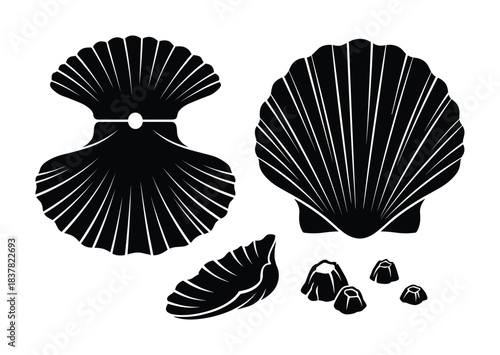 Scallop shells and barnacles. Marine life, underwater elements. Ocean mollusk icons set.