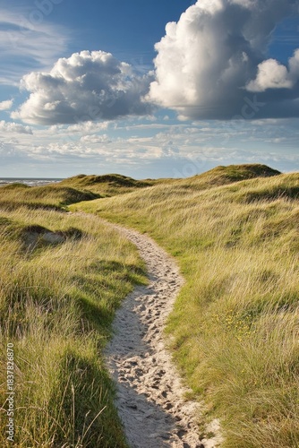 Sandy path winding through dunes under a cloudy sky