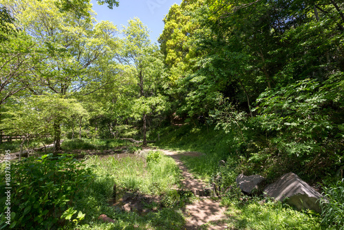 中原区市民健康の森<井田山緑地>（神奈川県川崎市中原区井田２丁目３２）