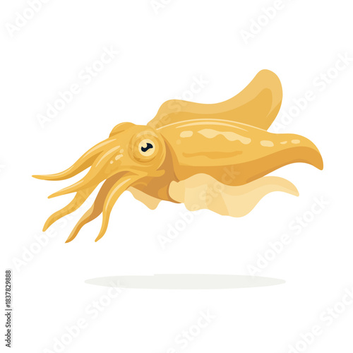 Minimal 2D vector illustration of Cuttlefish in flat icon style on a plain white background.