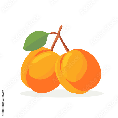 Minimal 2D vector illustration of Apricot in flat icon style on a plain white background.