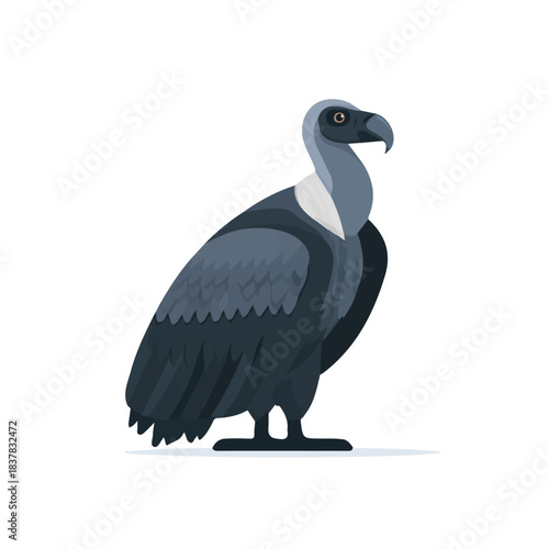Simple flat 2D vector graphic of Condor, modern icon look, displayed on a pure white background.