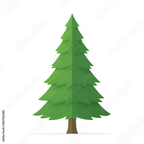 Simple flat 2D vector graphic of Pine Tree, modern icon look, displayed on a pure white background.
