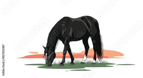 A black horse wearing glasses grazes in a field with a sunset background.