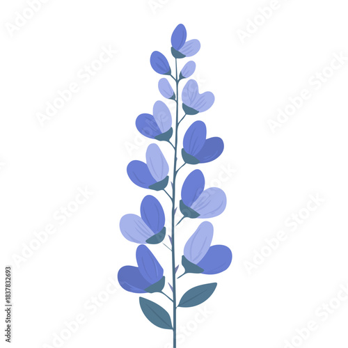 Simple flat 2D vector graphic of Baptisia, modern icon look, displayed on a pure white background.