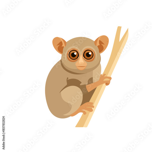 Modern flat 2D vector illustration of Tarsier, clean and minimal design, isolated on white background.
