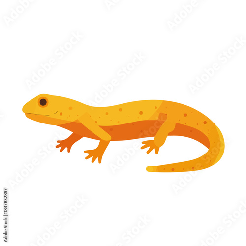 Newt in a clean 2D flat vector icon style, minimal and simple, set on a plain white background.