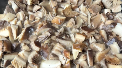 natural tree mushrooms cooked over a campfire