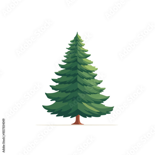 Modern flat 2D vector illustration of Cypress Pine Tree, clean and minimal design, isolated on white background.