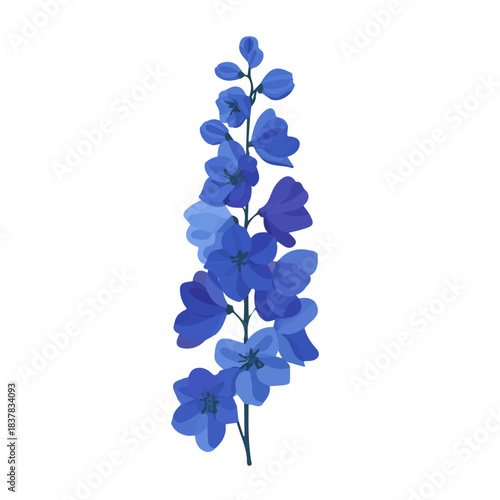 Simple flat 2D vector graphic of Delphinium, modern icon look, displayed on a pure white background.