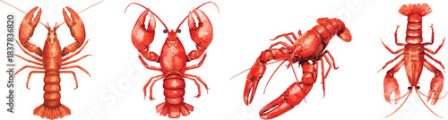 Red crayfish set. Watercolor illustration. Isolated element for design on white background.