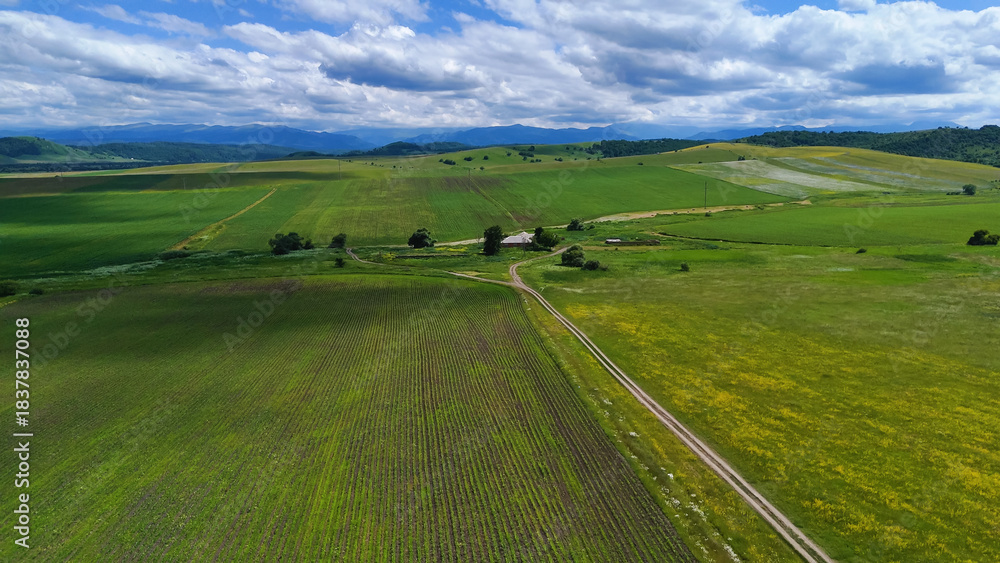Fototapeta premium a farm in the middle of green meadows in the Caucasus Mountains, as seen from a drone