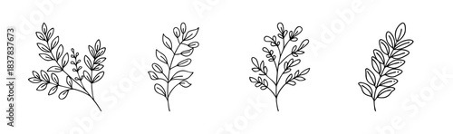 Hand drawn outline branches with leaves, minimal botanical design elements set