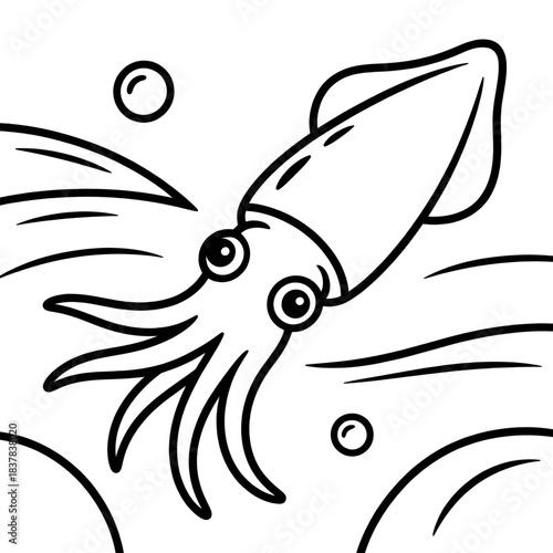 Squid illustration vector coloring page