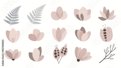 Botanical set fern fronds buds blooms seed pods branch on white