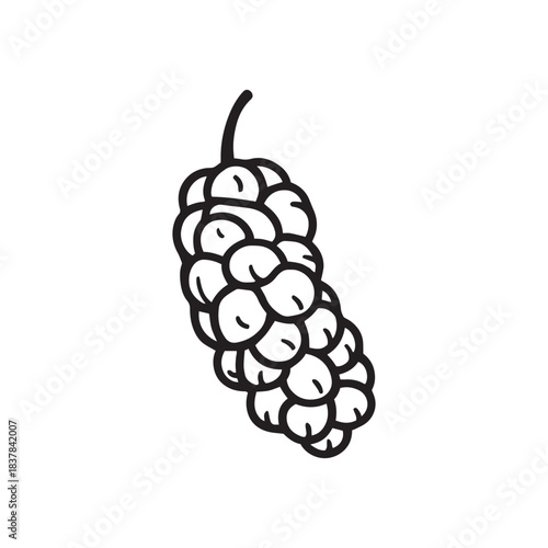 Simple black and white line drawing of a single ripe mulberry fruit on a white background