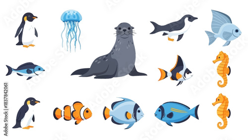 Marine life display penguin seal fish jellyfish seahorse