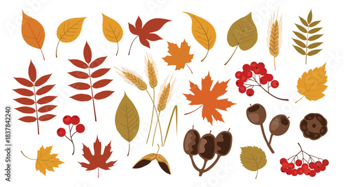 A diverse collection of colorful autumn leaves, berries, and harvest elements, perfect for seasonal designs and fall-themed projects.