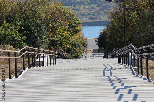 Photography Winter forest, steps, and the Tokyo bay