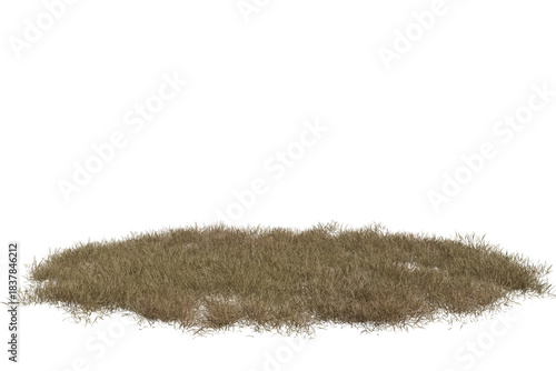 Konstfotografi A detailed cutout of a clump of dry, light brown grass, appearing withered and dead