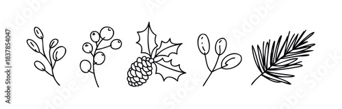Hand drawn line art collection featuring festive winter botanical elements like pine cone, holly, branches, and pine needles for seasonal decorations and holiday projects