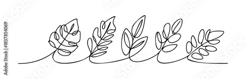 Simple line drawing of delicate foliage branches in a flowing continuous line style, perfect for naturethemed invitations, branding, or organic decor applications.