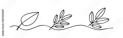 Simple line drawing of delicate plant stems with leaves in a flowing organic arrangement suitable for elegant branding and natural themes