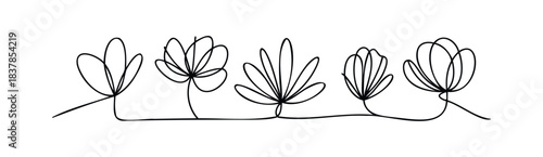 Minimalist continuous line drawing of five delicate flowers connected by a flowing stem, perfect for floral branding and organic design projects.