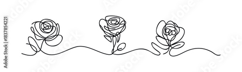 Elegant minimalist black line art roses with wavy stem for a romantic greeting or floral design project representing love and nature