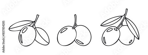 Minimalist line drawing set of three olive branch clusters with leaves and fruit for healthy food and Mediterranean themes