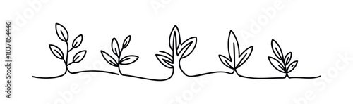 Simple black line drawing of delicate green plant sprigs with leaves emerging from a flowing line, perfect for natural themes and organic branding.