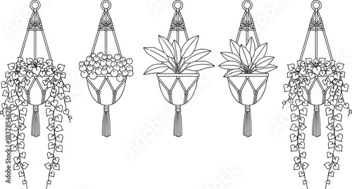 Macrame hanging plant pot illustration set, indoor houseplant holders with vines and foliage isolated on white background for decor design