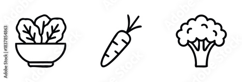 Healthy food icons featuring a bowl of salad, a carrot, and a head of broccoli, ideal for nutrition or cooking related projects.