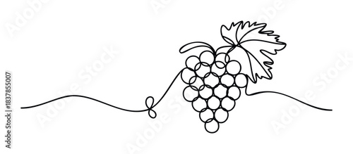Simple line drawing of a grape bunch with a leaf for a logo or graphic element, conveying natural freshness and organic produce in a minimalist style for food and beverage marketing.