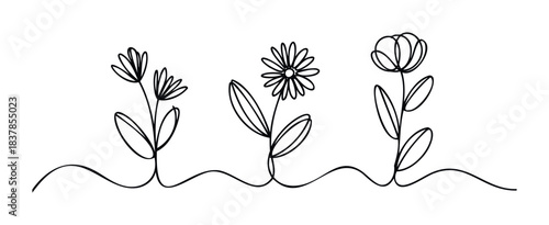 Minimalist line art depicting three distinct flowers with delicate stems and leaves, perfect for elegant stationery and natureinspired branding projects