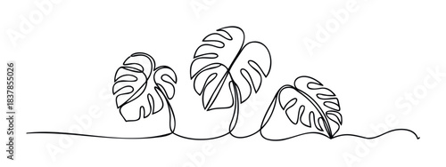 Monstera leaves drawn in a continuous line style, symbolizing nature and tropical vibes for a minimalist and organic aesthetic in decor and graphic applications.