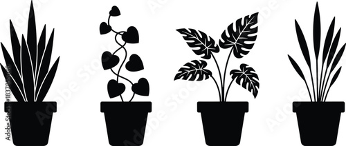 Modern houseplant silhouette set in pots, tropical and vine indoor plant icons isolated on white background for decoration, branding, graphic design projects