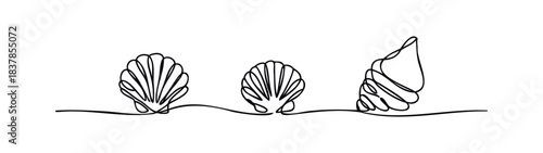 Minimalist line drawing of three different seashells resting on a wavy sand line, perfect for marine themes and oceaninspired graphics.