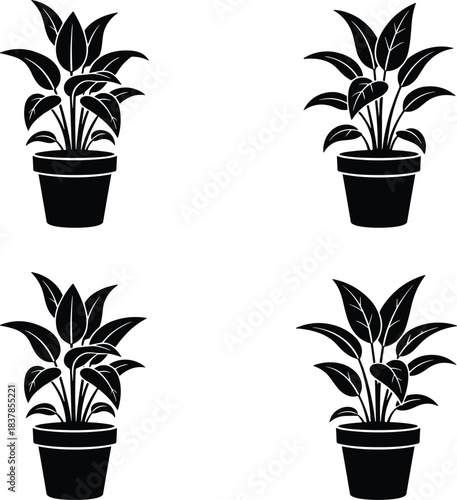 Black potted houseplant silhouettes set, modern indoor foliage icons isolated on white background for branding, decor, printable design, craft projects