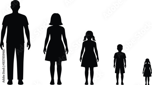 Silhouette vector illustration showing height comparison of adult man, woman, and children in different ages, representing family growth and development stages