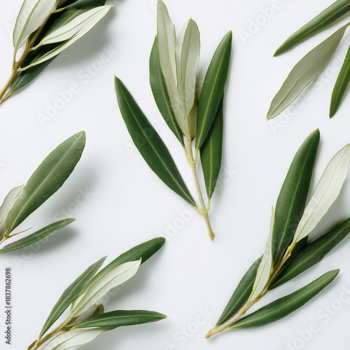 AI-generated image - A collection of fresh green olive leaves and branches scattered on a clean white background. 