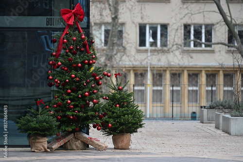 Fototapeta Naklejka Na Ścianę i Meble -  Large and small Christmas trees with gifts underneath in the city center

