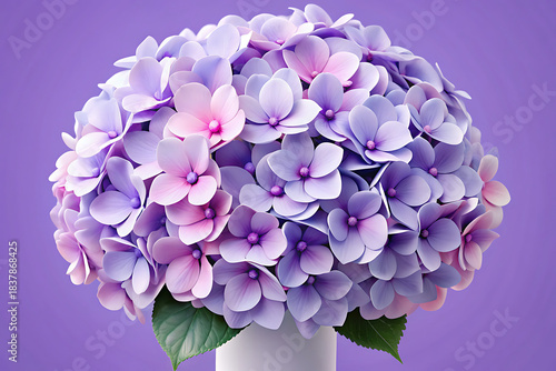 Hydrangea Bouquet