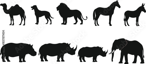 Animal silhouettes, wild and domestic, camel, dog, lion, horse, rhino, elephant, hippo, donkey, black vector illustration