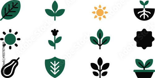 Green leaf sun eggplant flower sprout icons vector