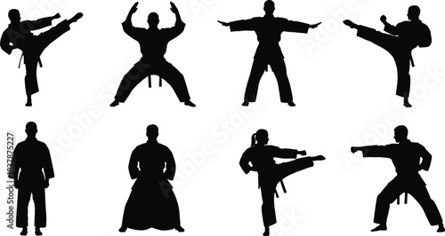 Martial arts silhouette grid, karate poses, taekwondo stances, combat techniques, black belt action, fighter motion, dojo discipline, athletic strength