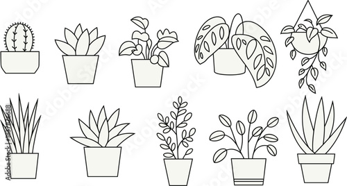 Set of ten potted indoor plants, including succulents, cactus, and tropical foliage, rendered as modern outline vector icons for decoration, gardening, and natural home design concepts.Set 