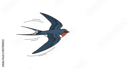 Stylized illustration of a barn swallow in mid-flight showing rapid movement with motion lines against a white background.